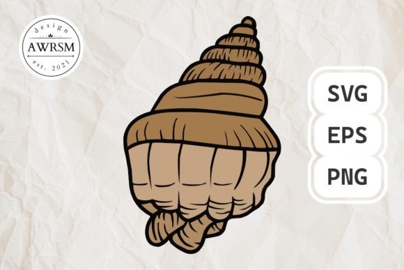 Download Clamshell SVG Vector, Seashell Clipart - Vector Collection