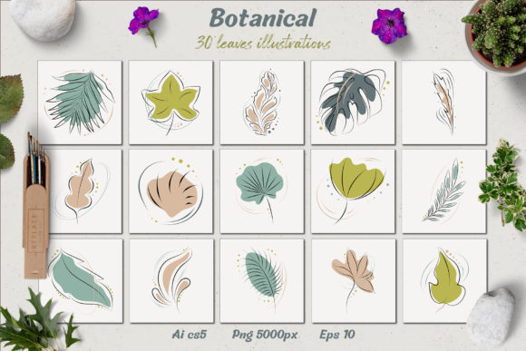 Download Botanical - Leaves Illustrations - Illustration Collection