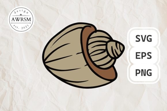 Download Clamshell SVG Vector, Seashell Clipart - Vector Collection