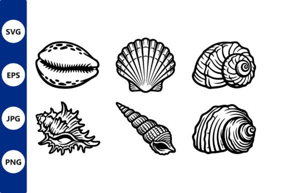 Download Seashells Line Art in Vector Style - Vector Collection
