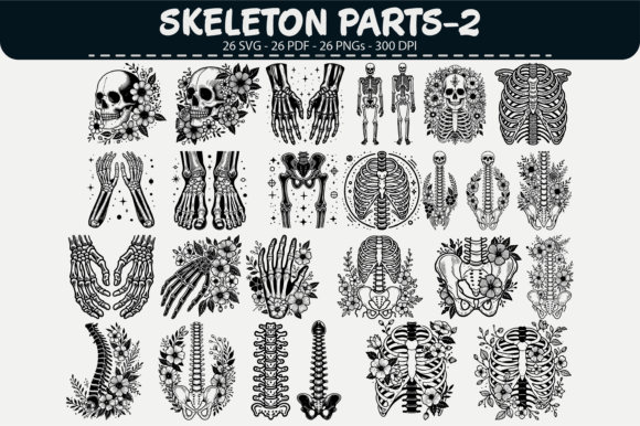 Download Skeleton Parts Vector Clipart – 26 Desig - Vector Collection